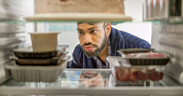 냉장고 탈취제 추천