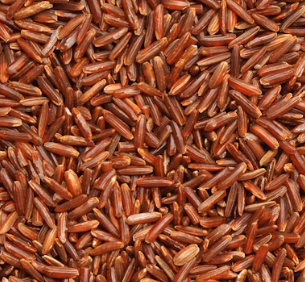 당뇨병에 좋은 음식 영양제 식단