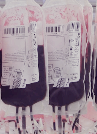 혈액암 증상과 초기증상, 생존율은?