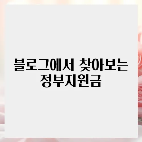 블로그에서 찾아보는 정부지원금, 제대로 이용하기!