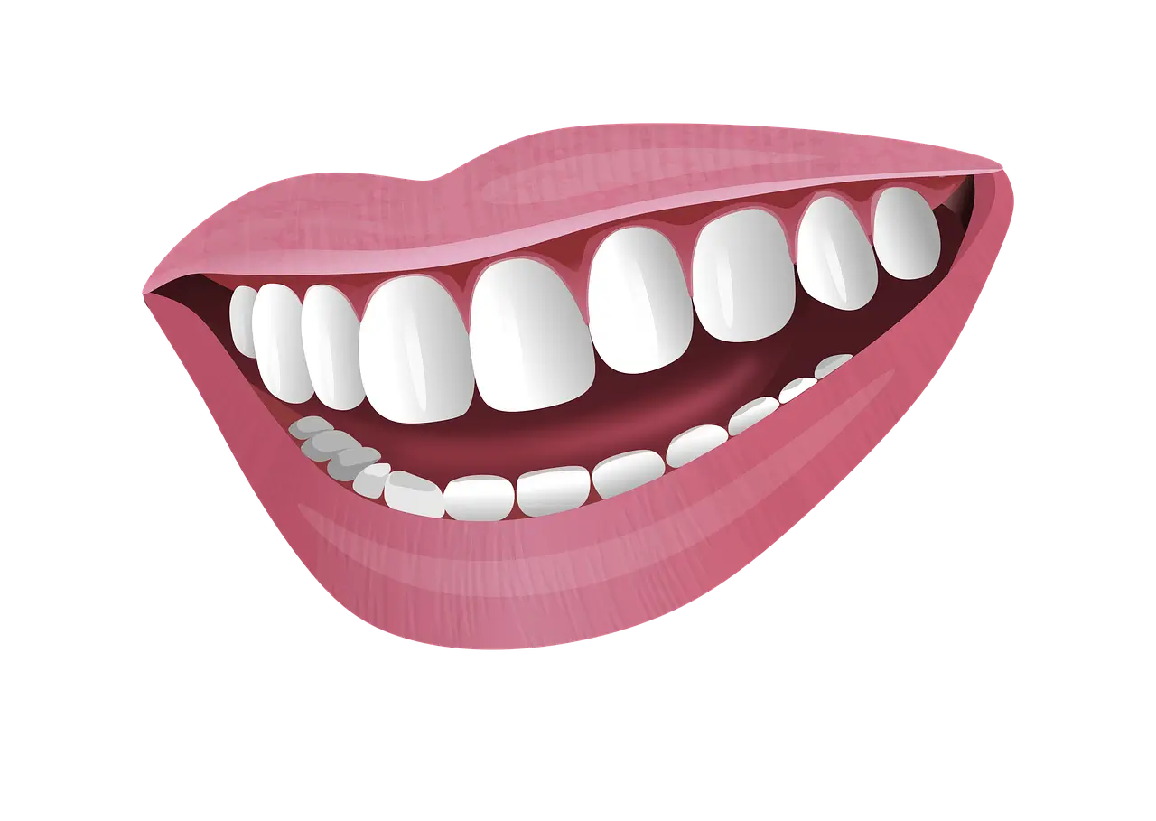 스케일링 의료보험 혜택 총정리