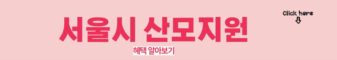 서울시 산후조리경비 지원 혜택 받기