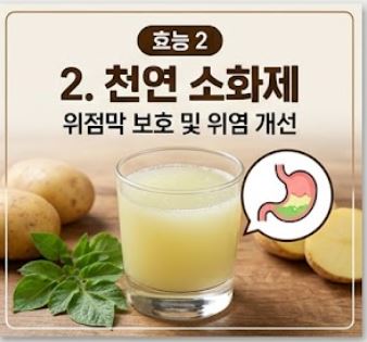 감자 효능