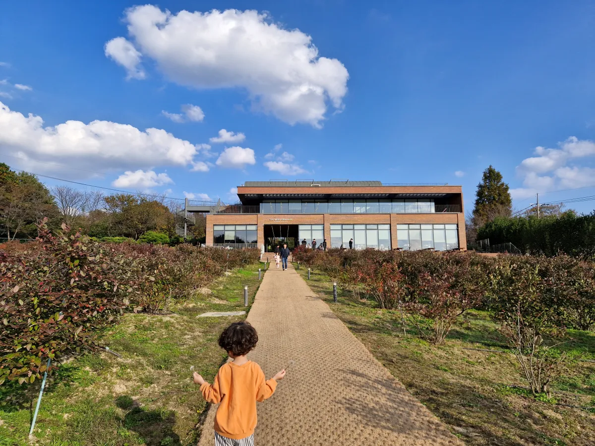 양쪽에-펼쳐진-블루베리-농장을-걸어가는-아이