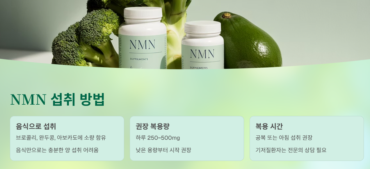 NMN, 음식으로 충분할까?