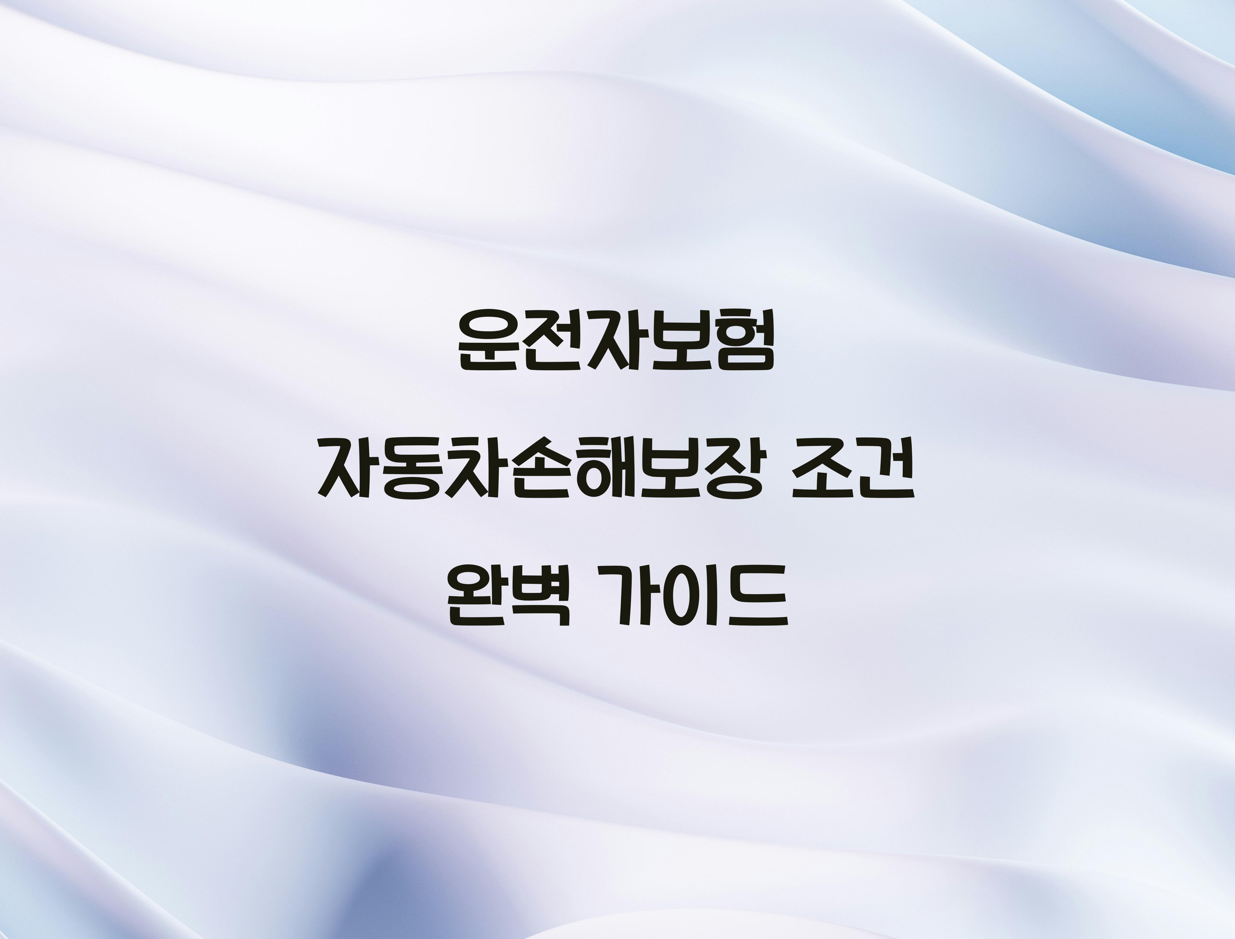 운전자보험 자동차손해보장 조건