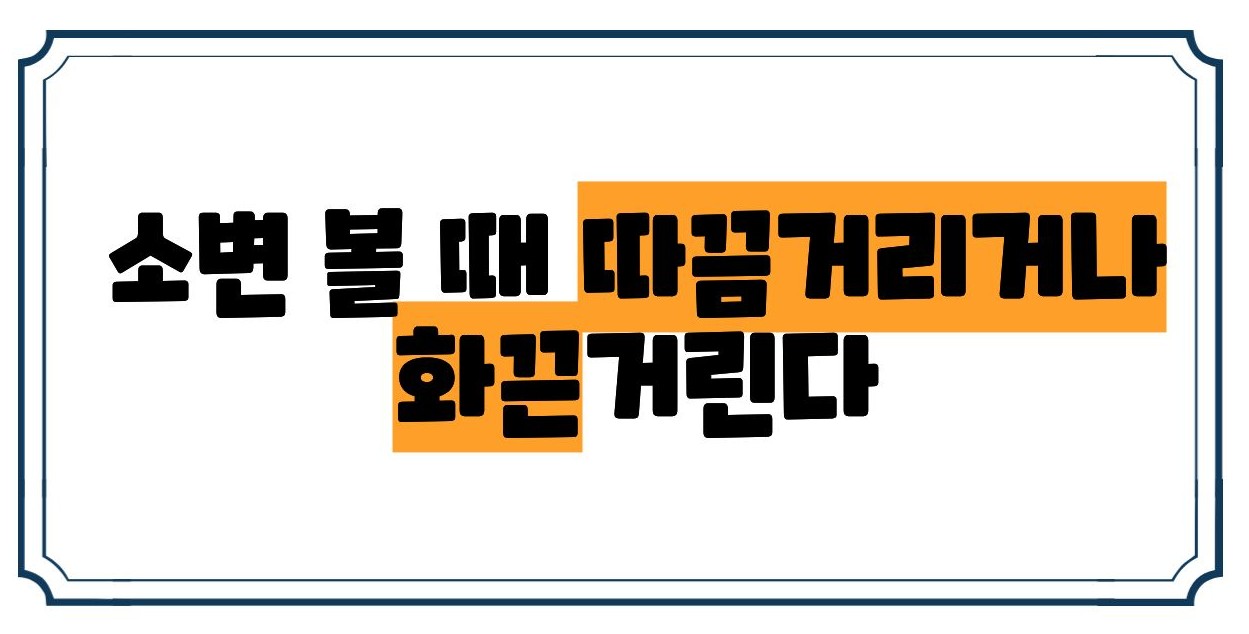 전립선염 증상