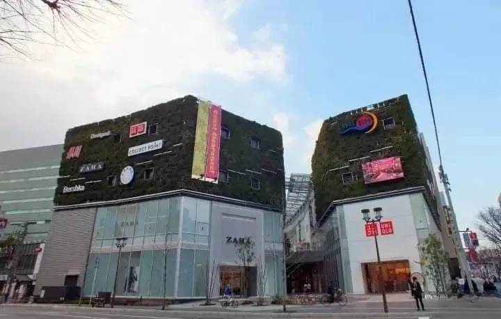 2024년 후쿠오카 여행 코스 추천 시내 시외 쇼핑 여행 코스