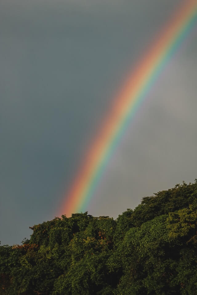 무지개
