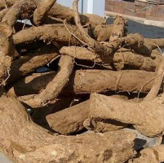 칡 효능 부작용