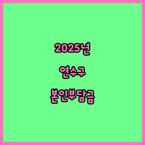 2025년 연수구 산모신생아 건강관리..