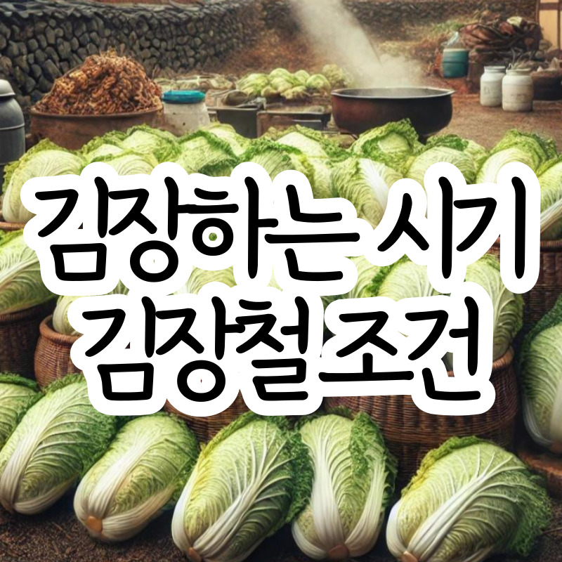 김장철 시기 김장철에 적합한 조건
