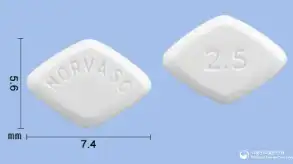 노바스크정-성상-이미지