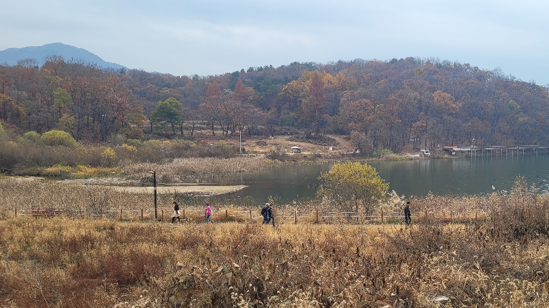 백운호수 주변 풍경 -산책 데이트 코스