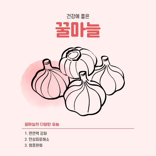 꿀마늘 효능과 부작용 만드는 법