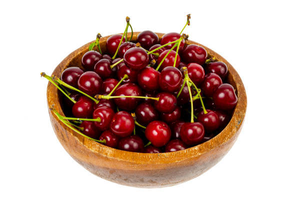 체리나무 재배법