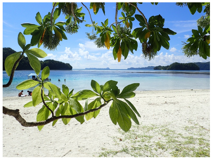 보라카이 3박 4일 여행 일정과 여행지추천