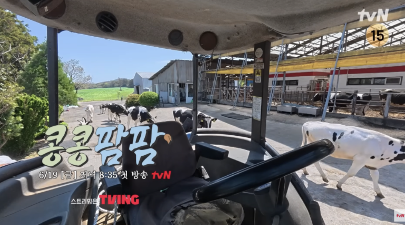 콩콩팜팜 방송시간을 보여주는 사진