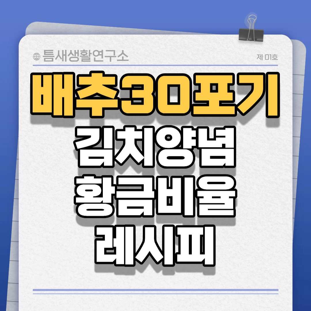 배추30포기-썸네일