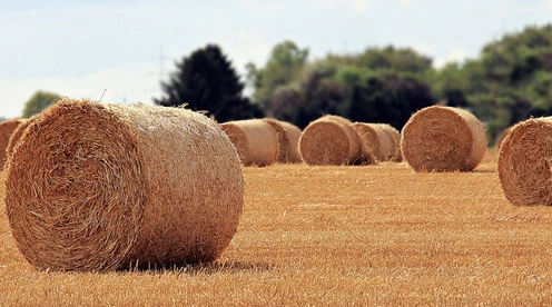 1. 건설안전관리자 자격증 종류