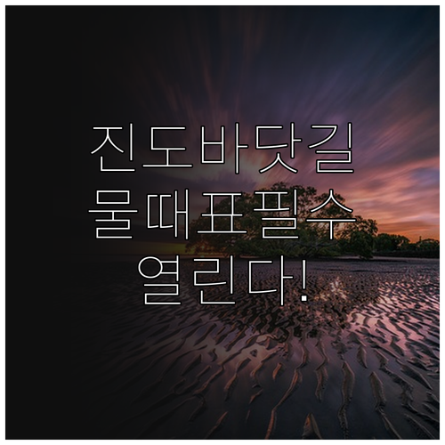 진도 신비의 바닷길 축제 일정과 여행..