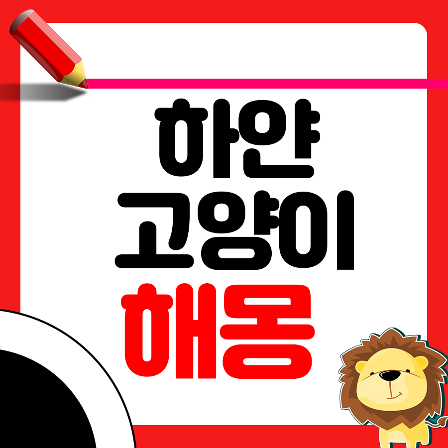 하얀 고양이 꿈 특별한 해몽 해석 확인하기 1