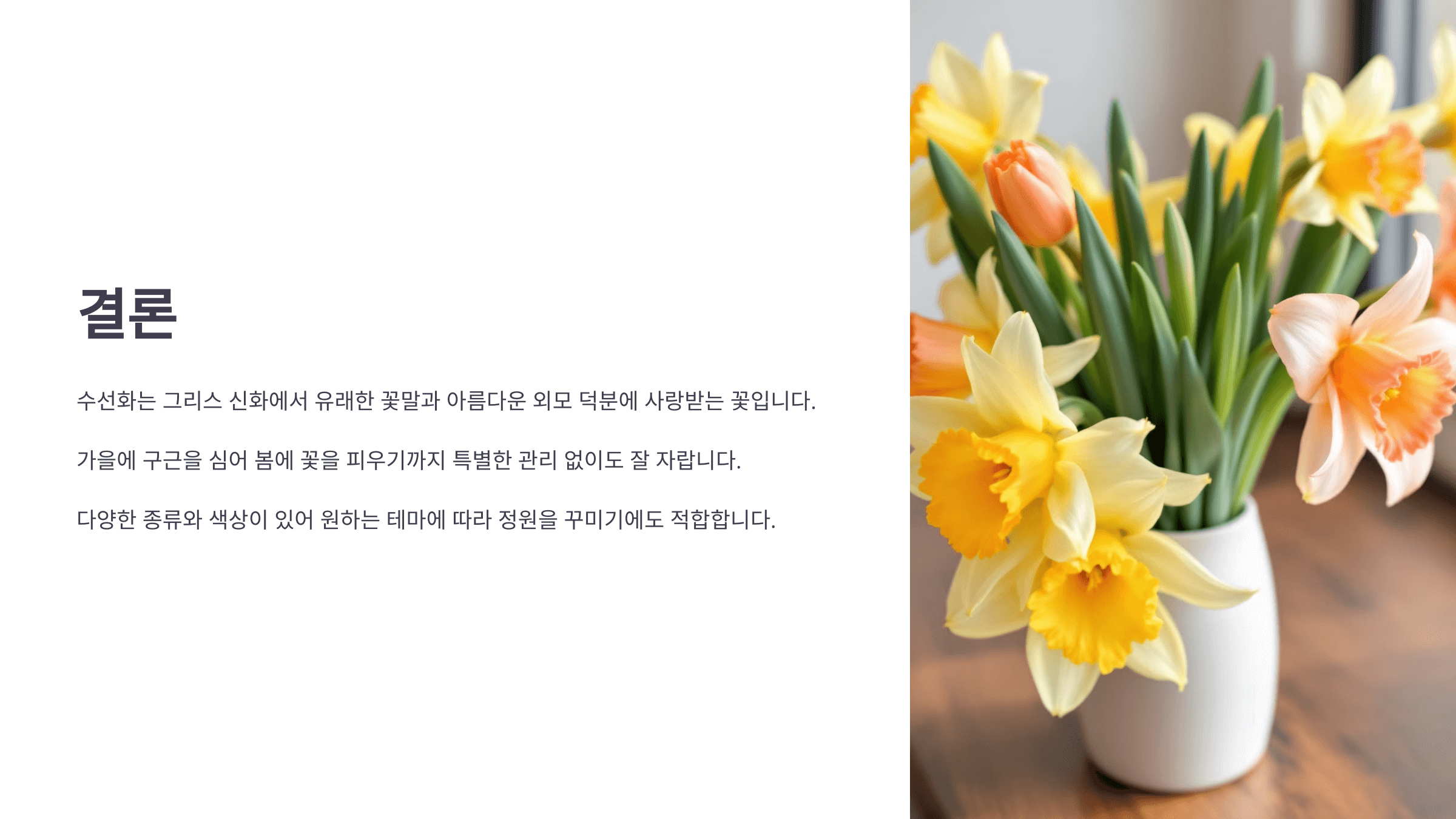 수선화 사진입니다.