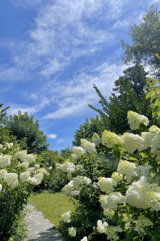 특색있고 아름다운 민간 정원 30선 추천 여행 - 22. 담양 죽화경