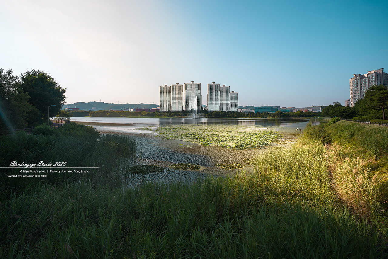 #청주 #오송 #호수 #공원 #아파트