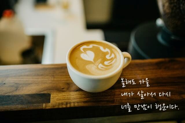 나태주 시인의 '가을 햇살 아래' 시 구절이 들어간 이미지