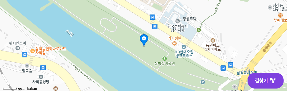 2025 삼척 장미공원 장미꽃 축제