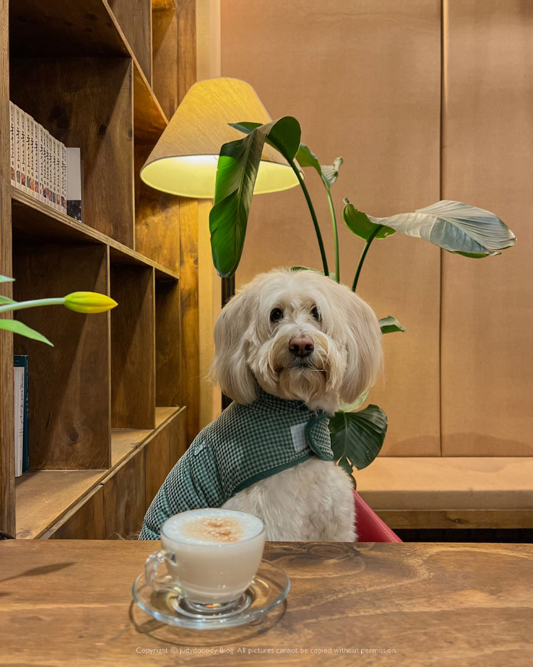 봄날 가기 좋은 잔디마당 카페, 파주애견동반카페