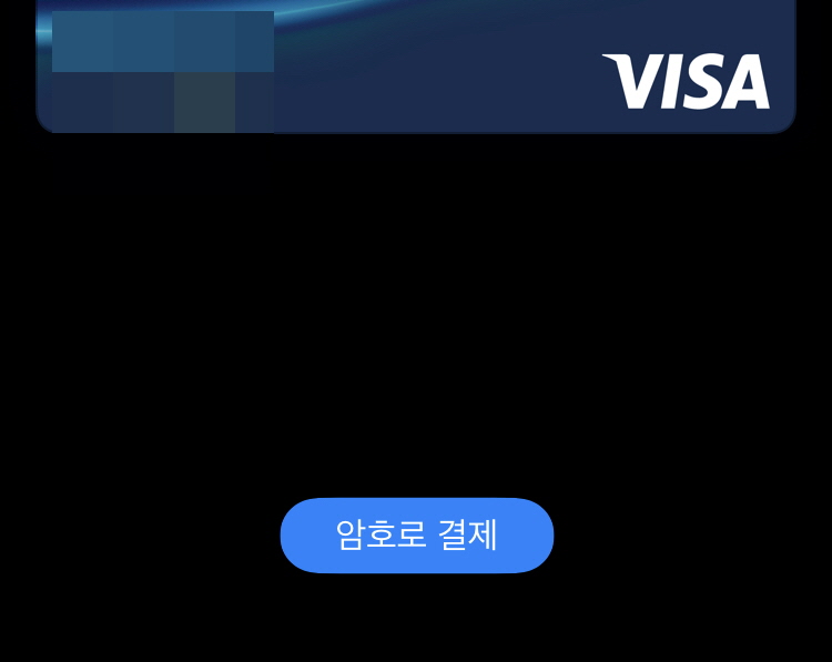 암호로 결제