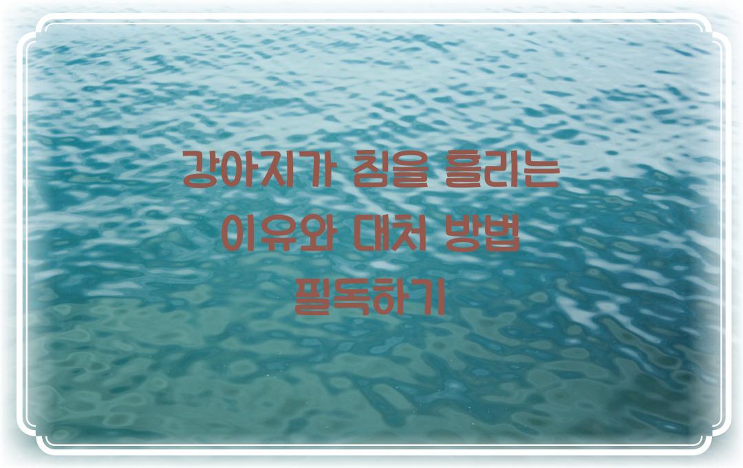 강아지가 침을 흘리는 이유와 대처 방법