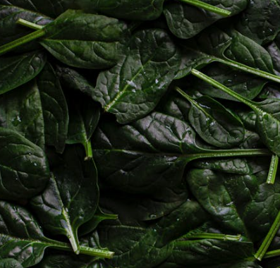 신부전에 좋은 음식 10가지