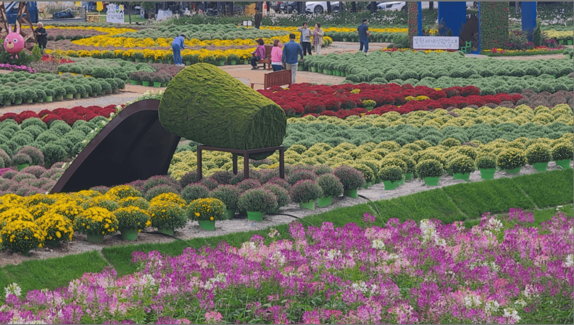 인제가을꽃축제 가는길, 이벤트 총정리