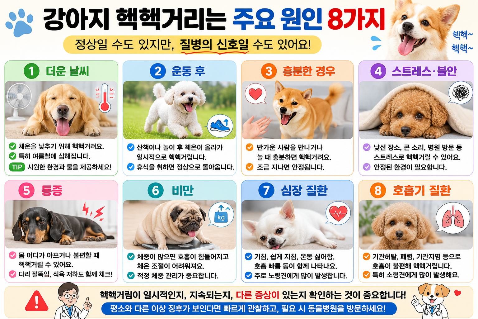 강아지 헥헥거리는 주요 원인 비교 이미지