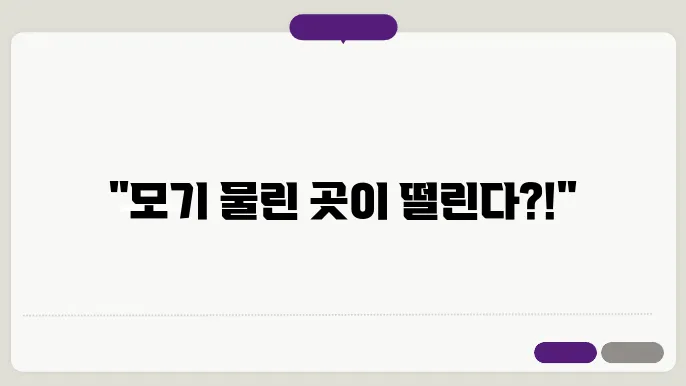 모기 알레르기 스키터 증후군 증상 원인 치료방법