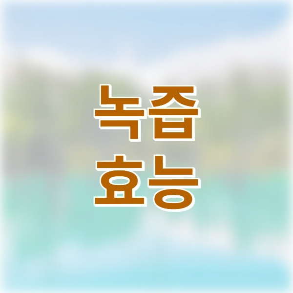 녹즙 효능