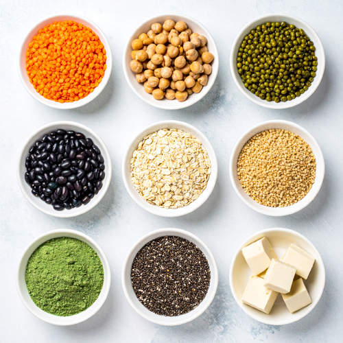 식물성 단백질 식품에는 프리바이오틱스 역할을 하는 식이섬유가 풍부