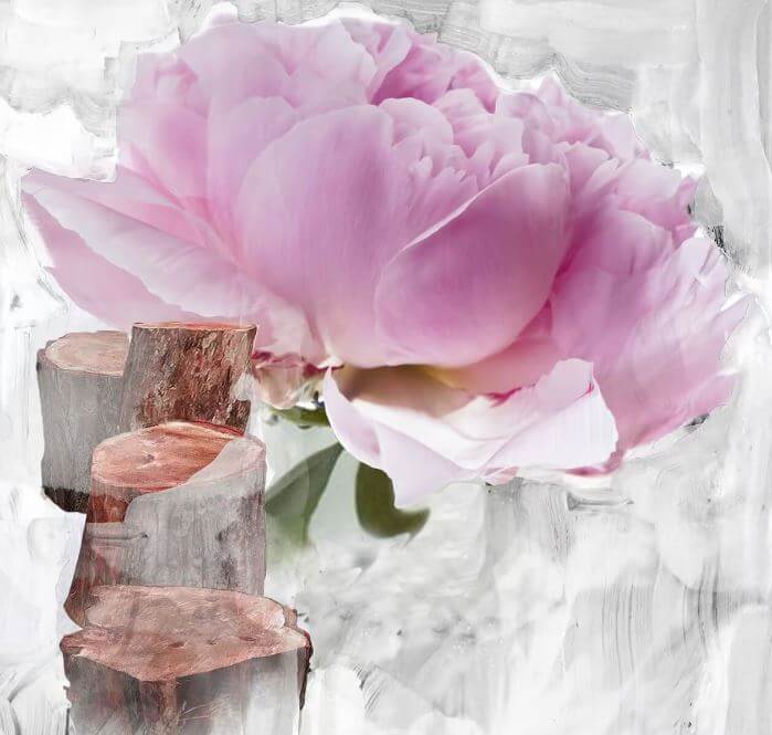 바이레도 블랑쉬 향수