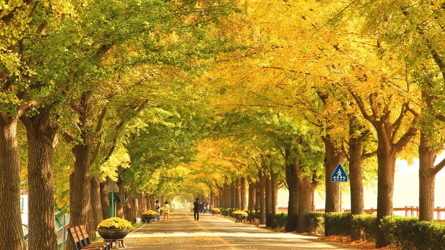 2026 아산 가볼만한곳