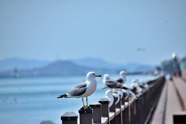 목포여행
