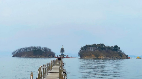 충남 태안 안면도