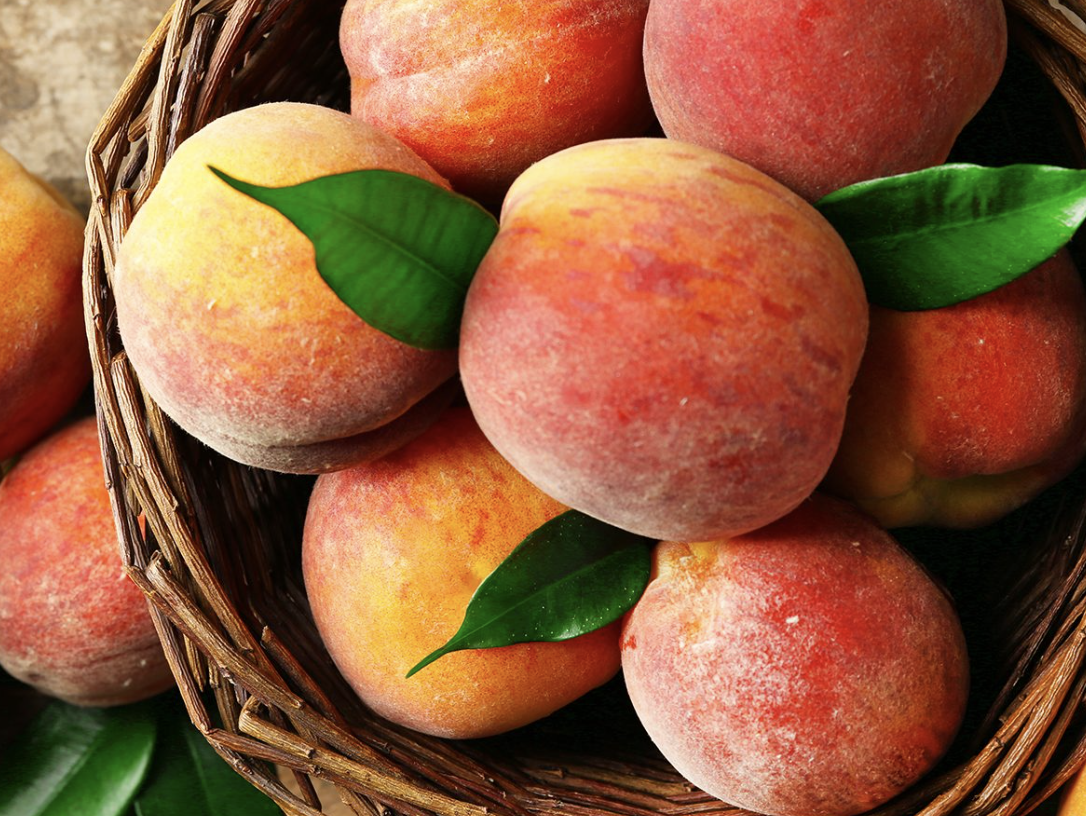 복숭아 보관방법