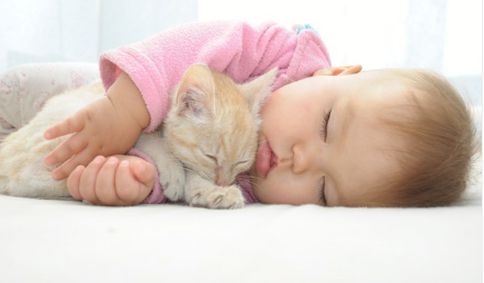 아기와 고양이 사진.