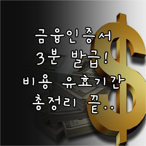 금융인증서 발급 단계 및 유효기간 비..