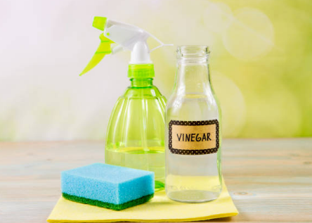 식초 효능&amp;#44; 복용법&amp;#44; 활용법&amp;#44; 총정리 (2025ver)