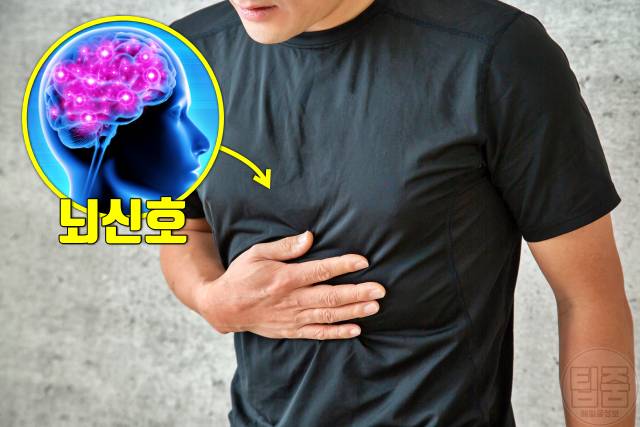 당뇨 증상 배고픔 식욕 당뇨 걸리는 식습관