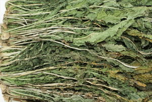 무우청시래기효능2